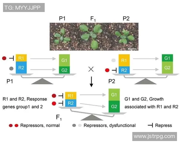 重庆足球队技术表现分析：数据揭示战术优势与不足之处